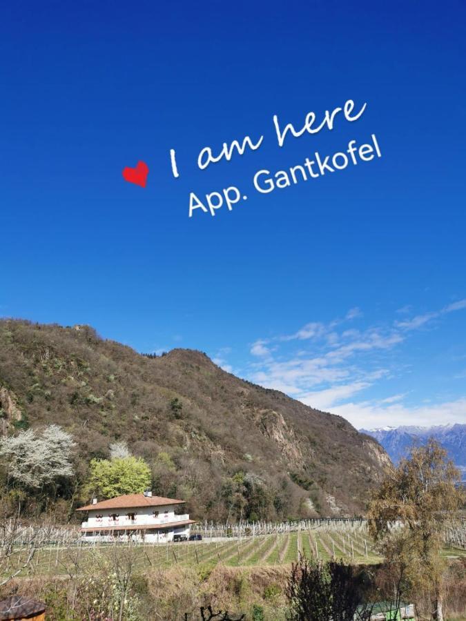 Appart hôtel Reinhild 3*